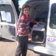 Volunteer at GSPCA Animal Shelter, Guernsey