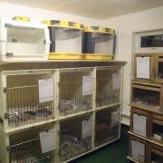 GSPCA Wildlife Facility Guernsey Animal Shelter