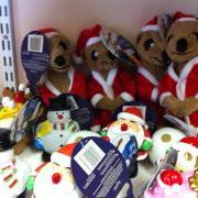 Christmas presents for your family and pets available at the GSPCA animal shelter - Guernsey dog cat rabbit hedgehog birds and other animals