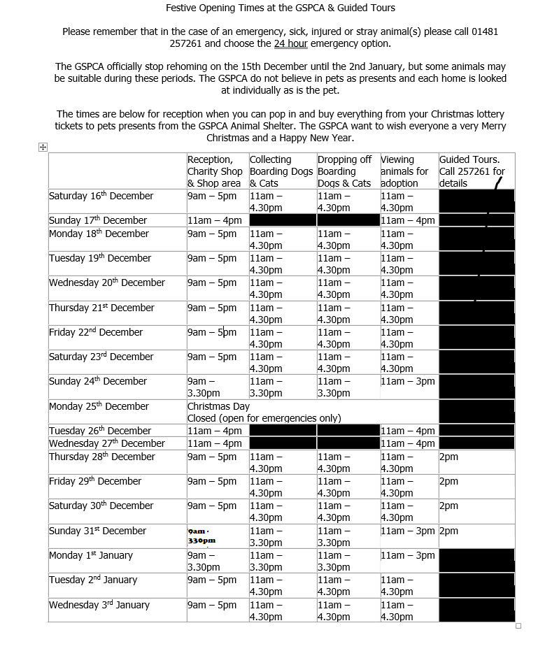 Christmas Opening Times