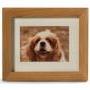 Mini frame - In Memory of a beloved pet